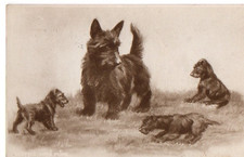 Vintage art postcard for sale  MATLOCK
