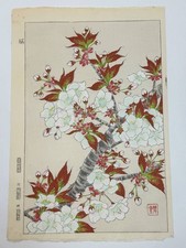Xilogravura No.227 Kawarazaki Shodo Sakura Geisudo tamanho grande Kumanagajima Suriflavo comprar usado  Enviando para Brazil
