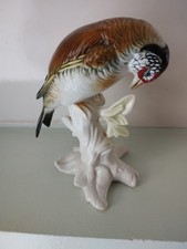 Karl ens oiseau d'occasion  Elven