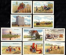 Wheat flour farming for sale  BRIDPORT