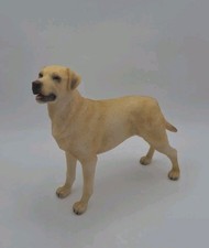 Best breed golden for sale  AYLESBURY