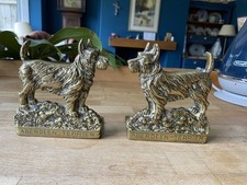 Pair scottish terrier for sale  BLACKBURN