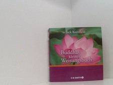 Buddhas kleines weisungsbuch gebraucht kaufen  Berlin