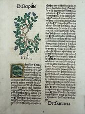 Hortus sanitatis kräuterbuch gebraucht kaufen  Langenargen