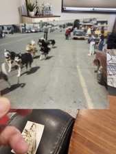 Vintage photo snapshot for sale  Fremont