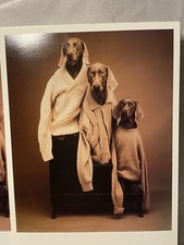 Notecards famous photographer for sale  Schiller Park