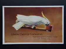Bird theme lemon for sale  UK