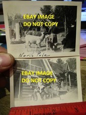 Rare old picture for sale  Mansfield