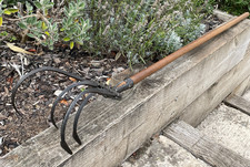 Vintage garden prong for sale  DOVER