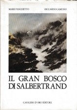 Gran bosco salbertrand usato  Italia