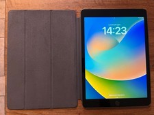 Apple ipad 9th usato  Cecina