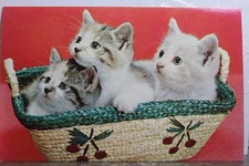 post cat for sale post cat for sale Wilmington