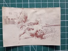 Az245 photo circa d'occasion  Expédié en Belgium