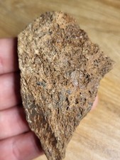 Triceratops skull fossil. for sale  SOLIHULL