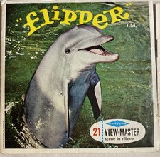View master flipper usato  Varese