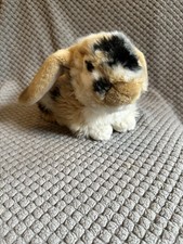 Living nature bunny for sale  BAKEWELL