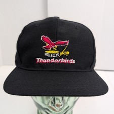 Vtg wheeling thunderbirds for sale  Cambridge