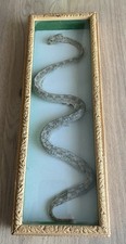 Serpent cadre taxidermie d'occasion  Sangatte