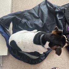 Saddle covers full for sale  HIGH WYCOMBE