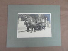 Antique photo horse d'occasion  Expédié en Belgium