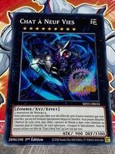 Cat new lives d'occasion  Expédié en Belgium