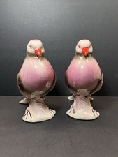 Pair pigeon birds for sale  Sharps Chapel