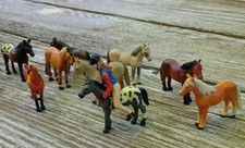 Lot mini horses for sale  Buffalo
