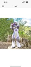 Long fur husky for sale  La Crosse