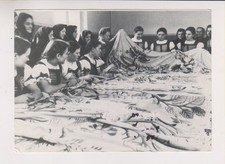 Schönwald foto schonwälder gebraucht kaufen  Deutschland