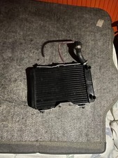 Radiatore malossi per usato  Italia