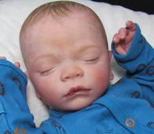 Reborn christopher coa for sale  Houlton