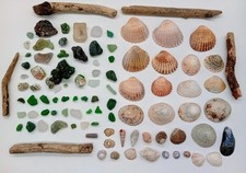 English beach combing for sale  BRISTOL