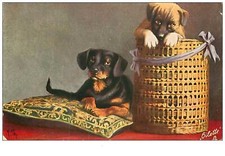 Dogs. 6517.dogs tekel d'occasion  Expédié en Belgium