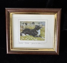 Limited edition collie for sale  ASHFORD