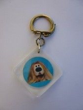 Porte cle ortf d'occasion  Couhé