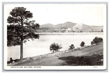 Santa dam williams for sale  Northridge