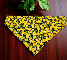 dog bandana for sale dog bandana for sale Woodstock