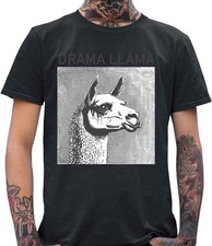 Maglietta uomo unisex usato  Spedire a Italy