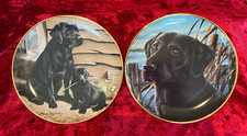 Black labrador plates for sale  ELLESMERE