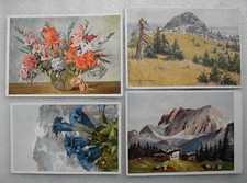 Alte kunstpostkarten blumen gebraucht kaufen  Arzberg