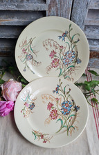 Anciennes assiettes plates d'occasion  Le Poinçonnet