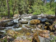 gold mining claim 40 acres for sale gold mining claim 40 acres for sale Angels Camp