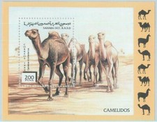 C0425 western sahara usato  Milano