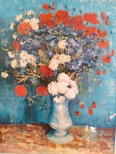 Vincent van gogh usato  Solesino
