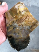 Hart mountain jasper for sale  Cleveland