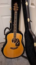 Breedlove ad20 plus for sale  SWINDON