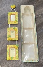 Richesco corporation lemon for sale  Dalton