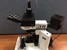 Olympus bx51wi dic for sale  Brooklyn