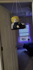 Caged haunted vessel for sale  Southington