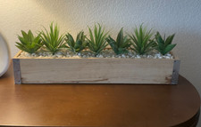 Plant boxfaux succulents for sale  Sun City